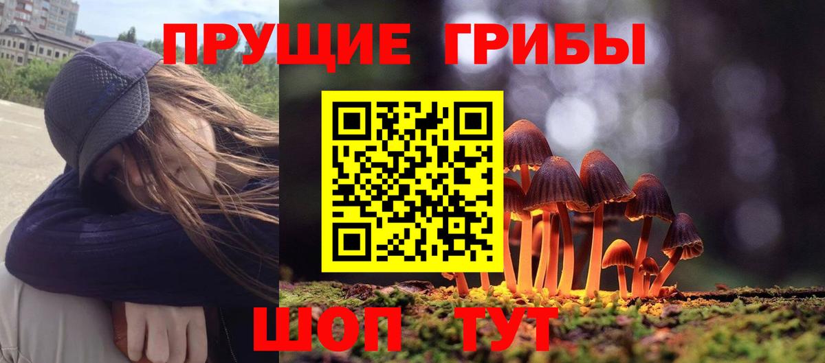 Псилоцибиновые грибы Cubensis  Вход с VPN  Грязи 
